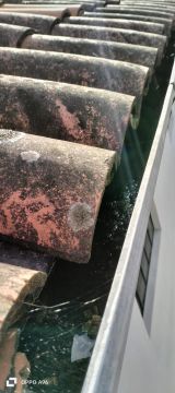 Roof Installation Professional - Home Improvements