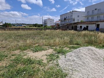 Especialista de Limpeza de Terrenos