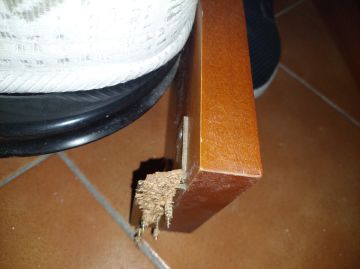 Carpentry and Woodworking