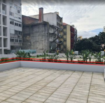 Jardinagem e Relvados - Casa