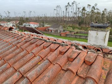 Telhados e Coberturas