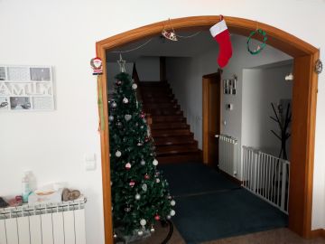 Zimmereibetrieb