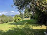 Lawn Mowing and Trimming