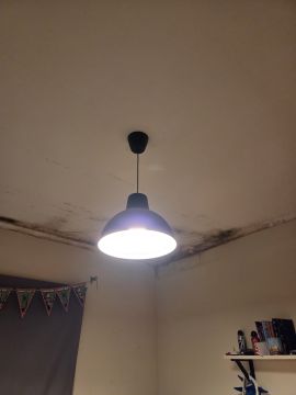 Pintura de Casas