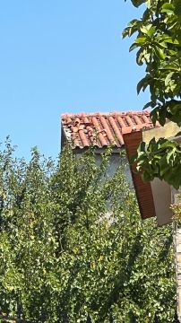 Telhados e Coberturas