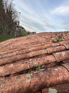 Roof Installation or Replacement - Roofing