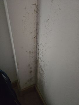 Spezialisten für Renovierungen