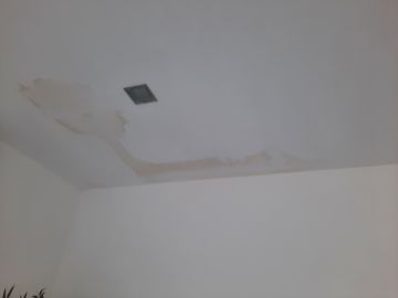 Pintor de Casas
