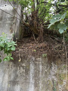 Mauerbau - An- und Umbauten