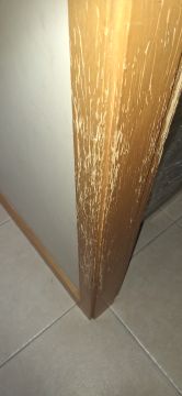 Woodwork and Carpentry
