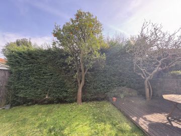 Serviço de Jardinagem