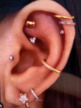 Piercing Artist