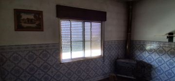 Pintura de Casas