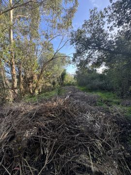 Jardinagem e Relvados
