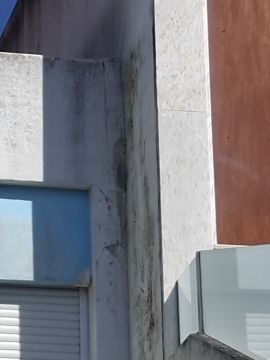 Empresa de Pintura