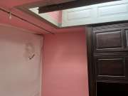 Drop Ceiling professional