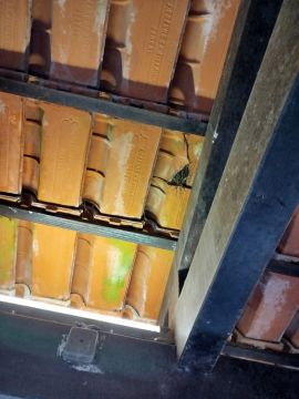 Dachdecker (Bau- oder Austausch)