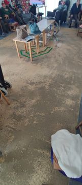 Vinyl or Linoleum Repair or Partial Replacement - Flooring