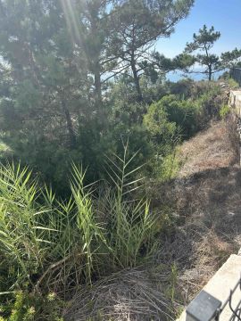 Jardinagem e Relvados