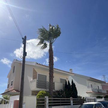 Felipe jardins - Almada - Corte de hormigón