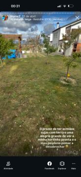 Jardinagem e Relvados