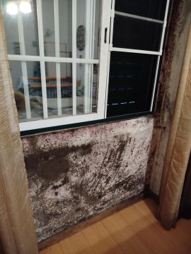 Pintor de Casas