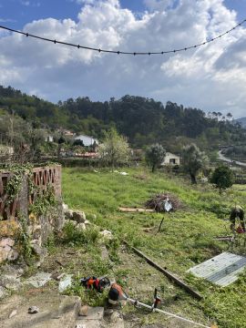 Serviço de Jardinagem