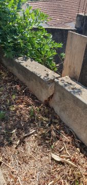 Professionnel des travaux