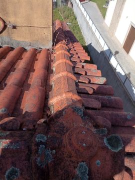 Roof Installation Professional