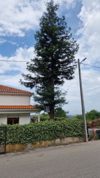 Jardinagem e Relvados