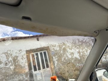 Upholstery Service