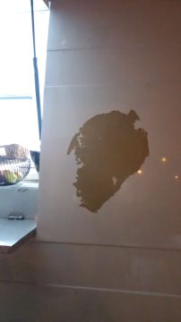 Pintor de automóveis