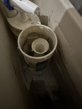 Canalizador (Reparação de Sanita)