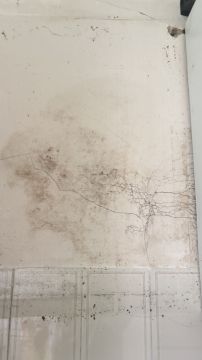 Pintor de Interiores - Casa