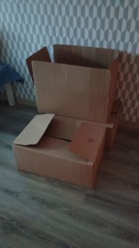 Transportadora de Móveis