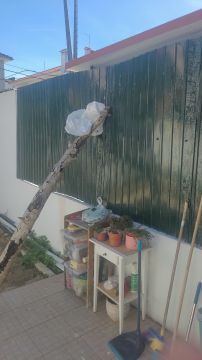 Construtor Civil