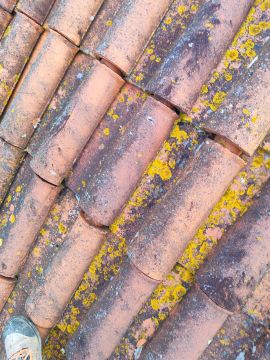 Roofing