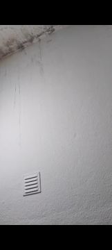 Pintura de Casas