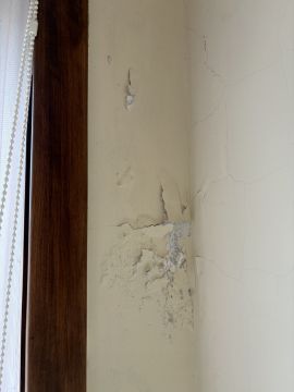 Pintor de Casas