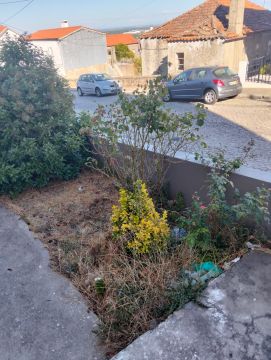 Jardinagem
