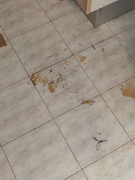 Organização da Casa