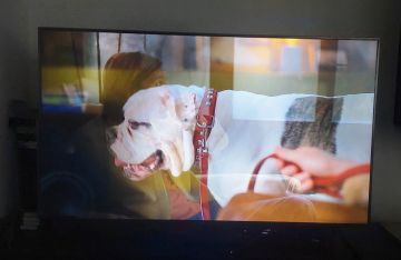 TV Repair Specialist