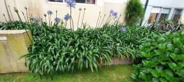 Jardinagem e Relvados
