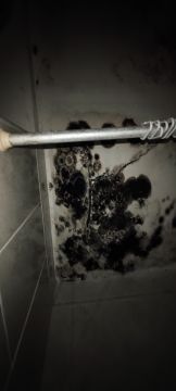 Remodelações e Construção