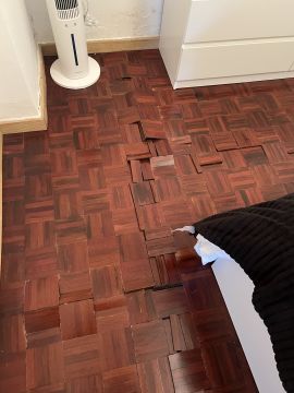 Flooring Specialist