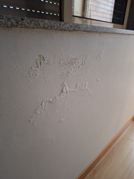 Pintor de Casas