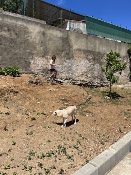 Jardinagem - Jardinagem e Relvados