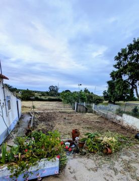Serviço de Jardinagem