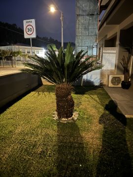 Podador de Árvores