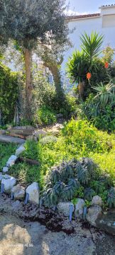 Gardening